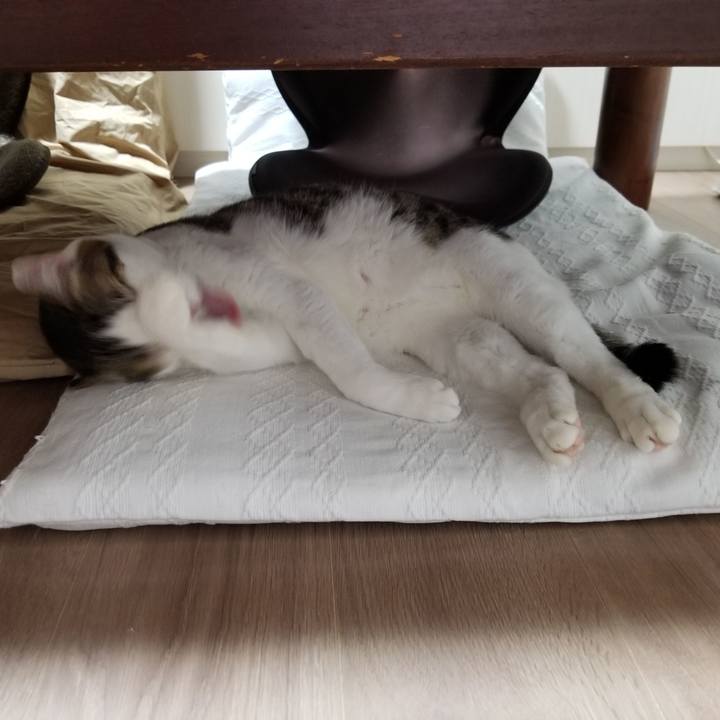 9e04dcd3 c66a 498e 87f5 5182ba544ac2 1611524296879