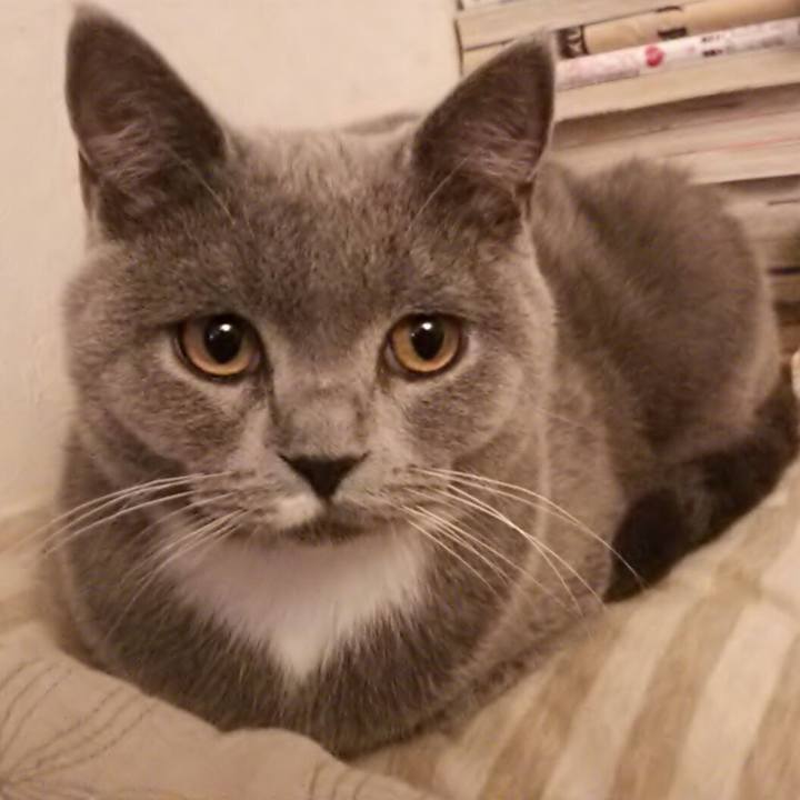 9e0500a7 4aa0 44ef bba3 a267f7d8bd5c 1541242316076