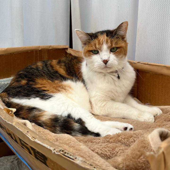 9e0505e0 0185 42b5 9281 af1108cc49d7 1641119480559