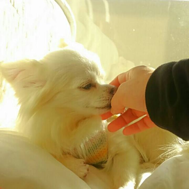 9e050b3e 26f7 4e56 adaa 41d2f7656dfa 1546512775912