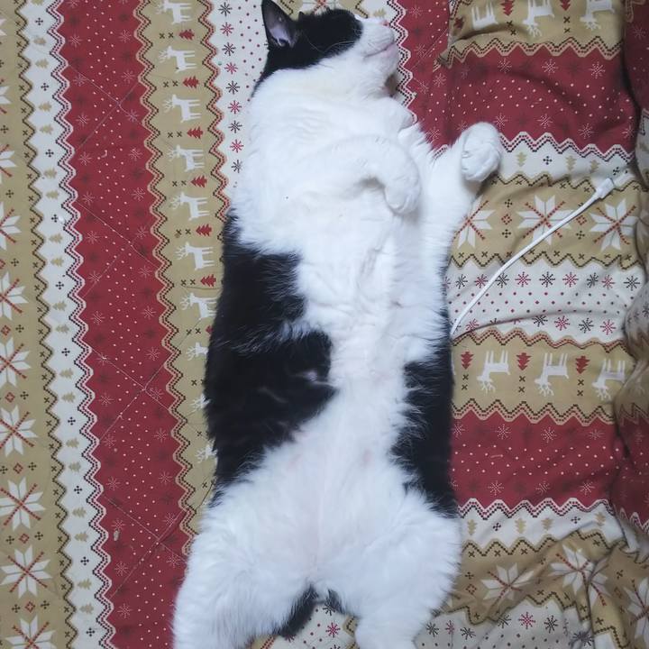 9e051cc6 2770 482c 901a 9d70764806fa 1565617576596