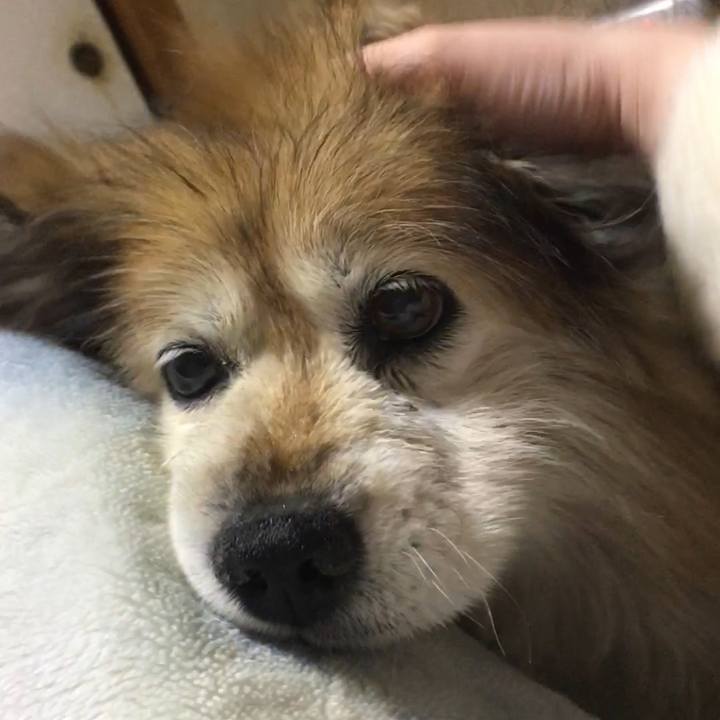 9e051ded 2d9f 4045 8c20 aee47afe4640 1599195941955