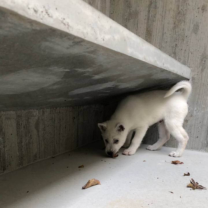 9e05575d 6e35 43a0 91cc a26f3c1857bb 1510675363775