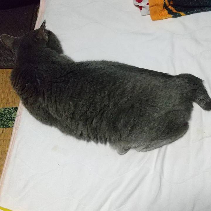 9e056f5f d23d 4ec8 abb6 94d57ddc9a53 1678529064845