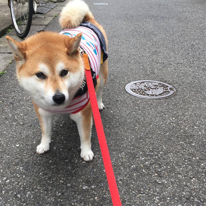 9e058aea 39d0 4829 b094 4ef4d26473a7 1591573405765