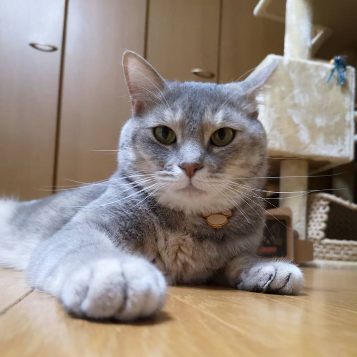 9e05cf1c d9e0 4142 94e9 afc56ca038f3 1562762711146