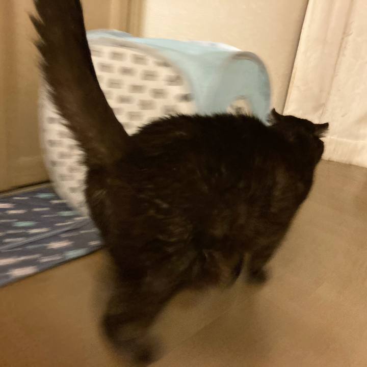 9e05f562 ba97 4bce b338 a16a4bf00113 1613494992287