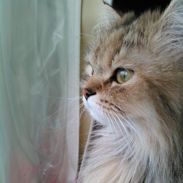 9e064004 41cc 425c b992 87be6e3c3b01 1596594157808