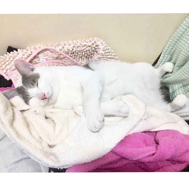 9e064e7a 8207 4c01 9da9 4e3064e0fdb7 1523191380996