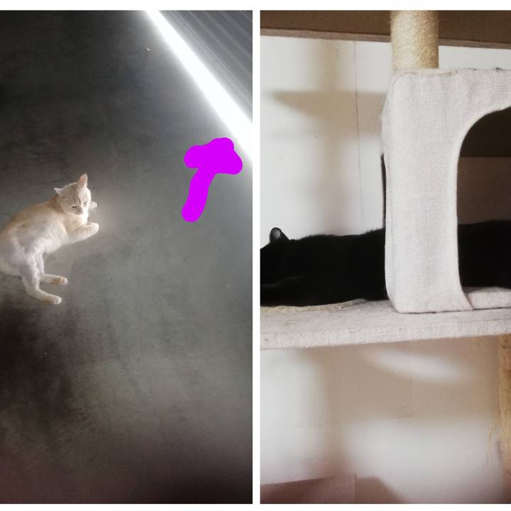 9e06576e 7dc9 44c6 b750 8c531277e19c 1691469582530