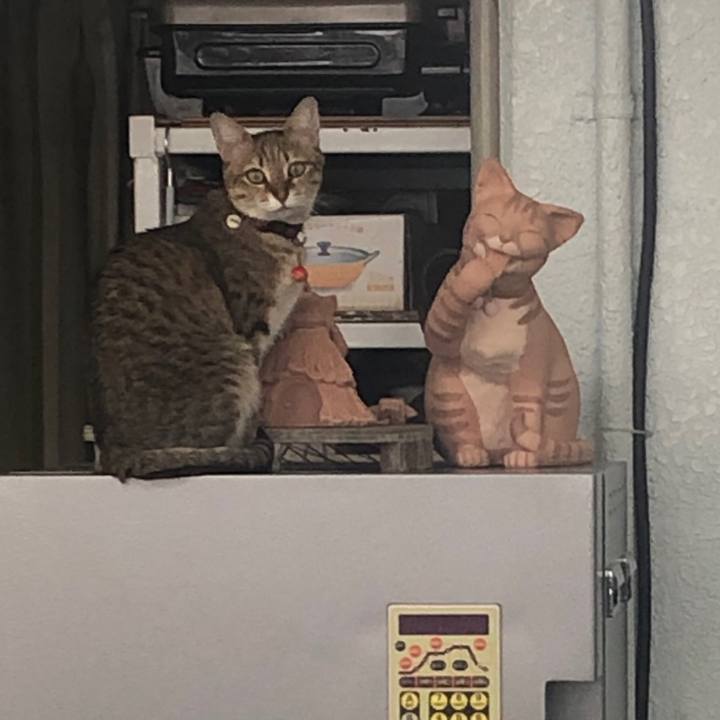 9e067dae 8c03 4c3f bd70 254b2b1ffe84 1646643711839