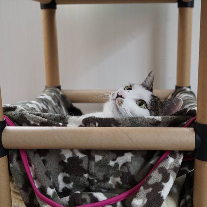 9e06a7ff aa14 43d9 ac1e 5159e0f3e67b 1561418835085