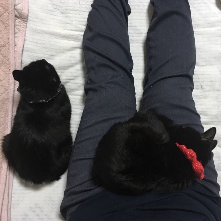 9e06b000 490e 4018 97ff 0472fb8d4296 1552905937662