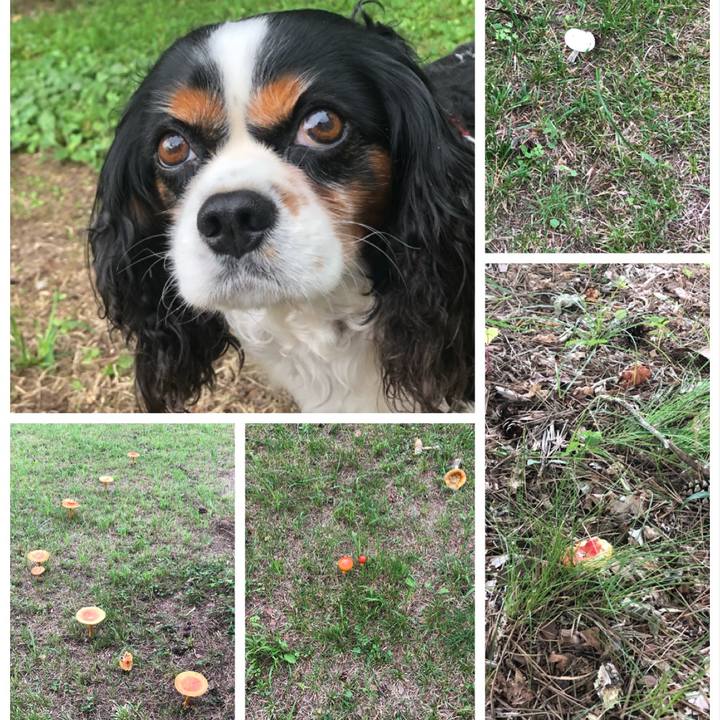 9e06bf0a 5d1a 458e 9852 80c09d296769 1567996292862