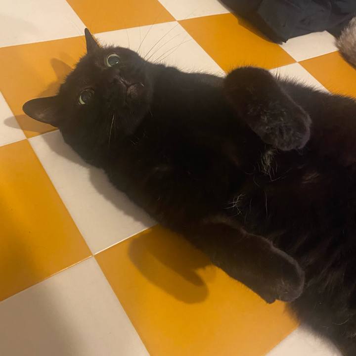 9e06cde5 e56c 4787 970a 90e412cc7f0b 1717787315697