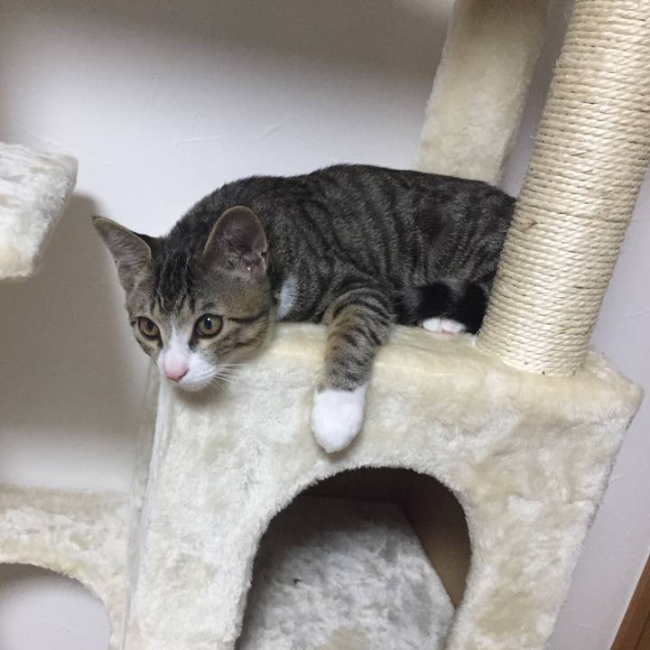 9e06d39d 023f 422a b2a9 dcdf5d8ab7b4 1657281275988