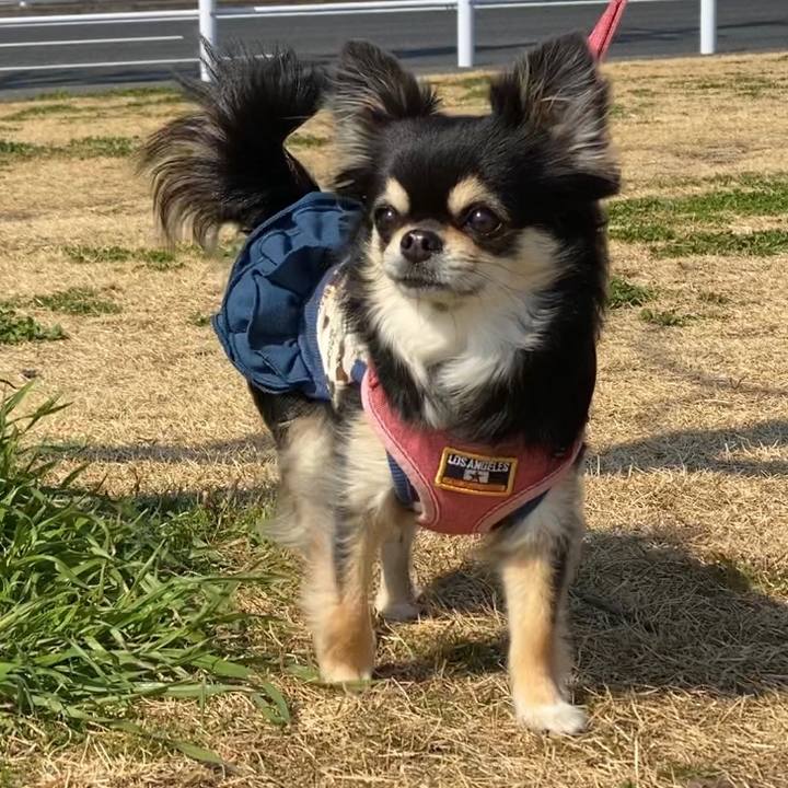 9e06da4a d10e 4e3f 870f 13416a47fe14 1615427487683