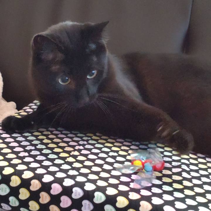 9e06e1ee fe11 4d5b b9c6 9c439f7bb943 1633008803508