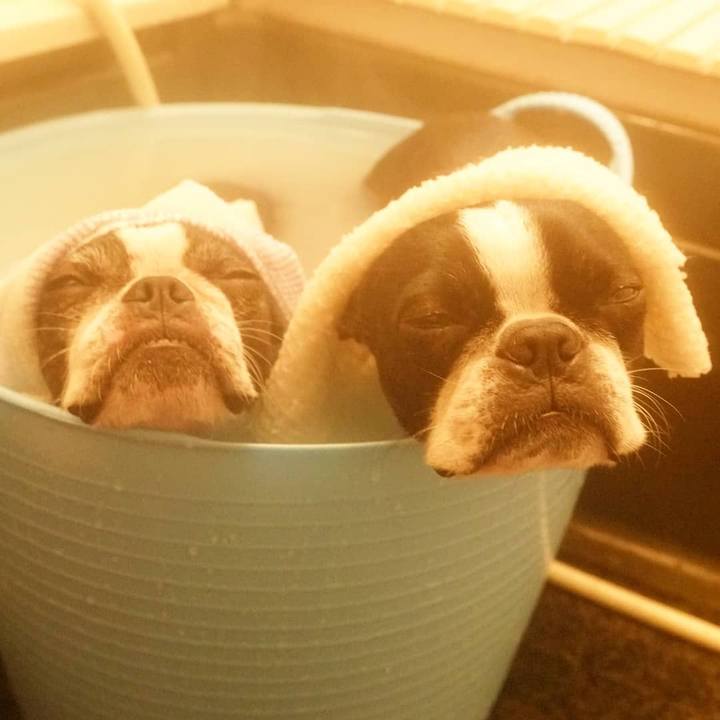 9e071f12 62d0 497e 8bbe d07d2aa5fe9e 1514695723822