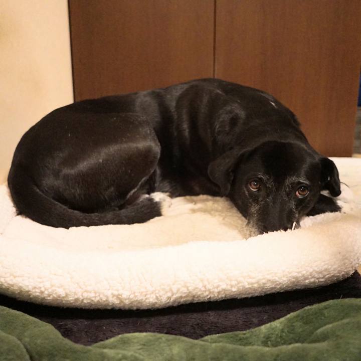 9e0766f5 49d0 4368 b096 8535457cc5b5 1761301745155