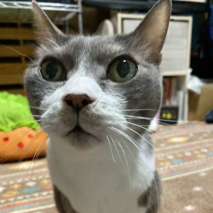 9e0777db 0253 4218 9581 52af6759531c 1765025415123