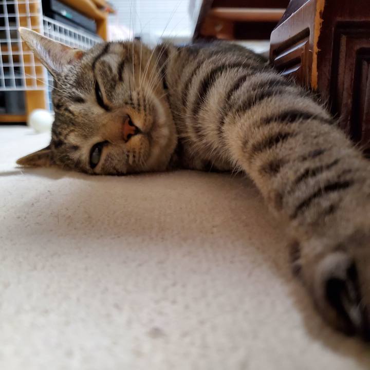 9e07b557 0105 458b a98a 8880c4177ea9 1699893416350