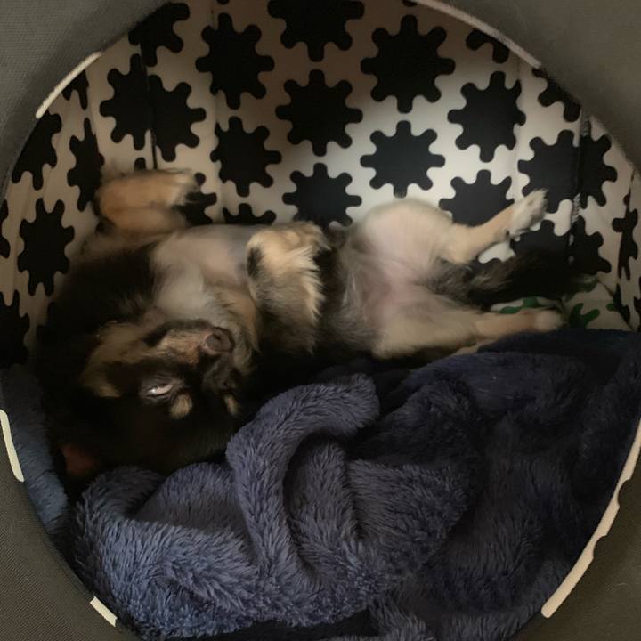 9e07c58a 5cdd 4ab5 ab47 a945e764ee6c 1569189482622