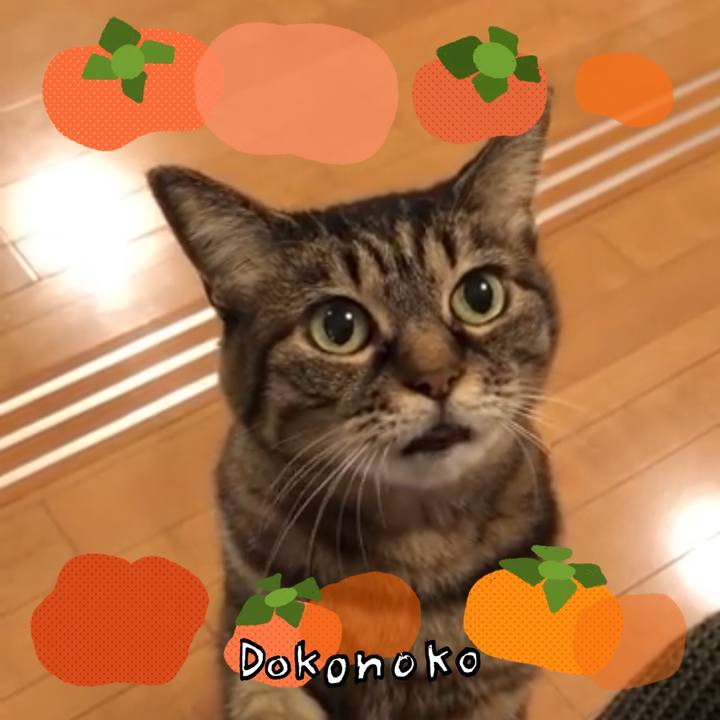 9e07f2ff e5c6 4095 b3fa 5755babbf859 1761443146442