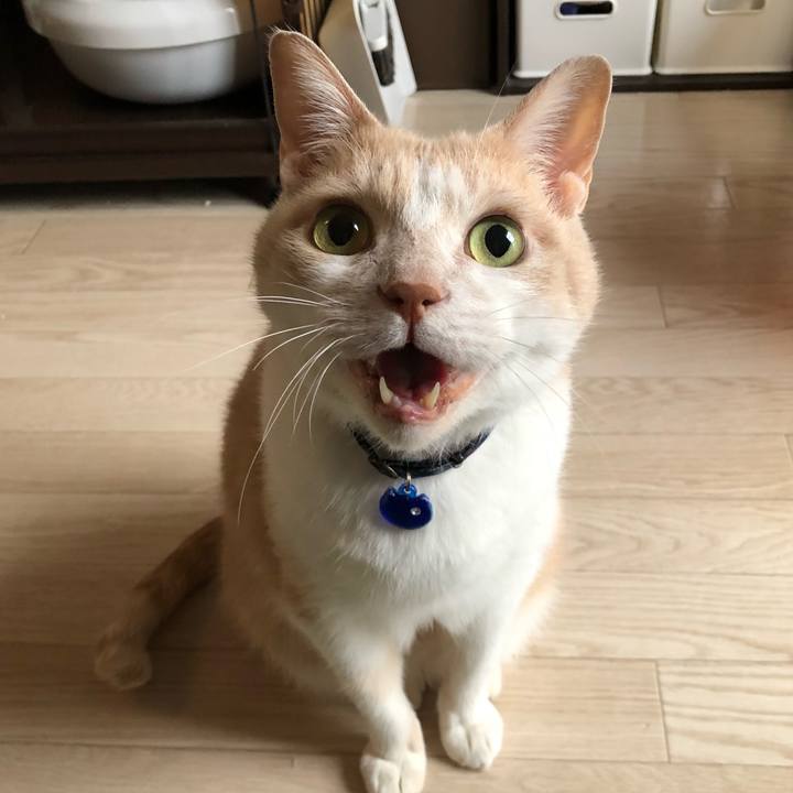 9e07fa0d 3bb5 4cf3 b726 4d3f558ec40c 1520378437405