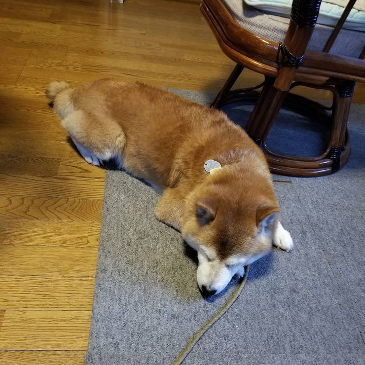 9e08286d 2905 4dce 96b7 9031055faaca 1669185205030