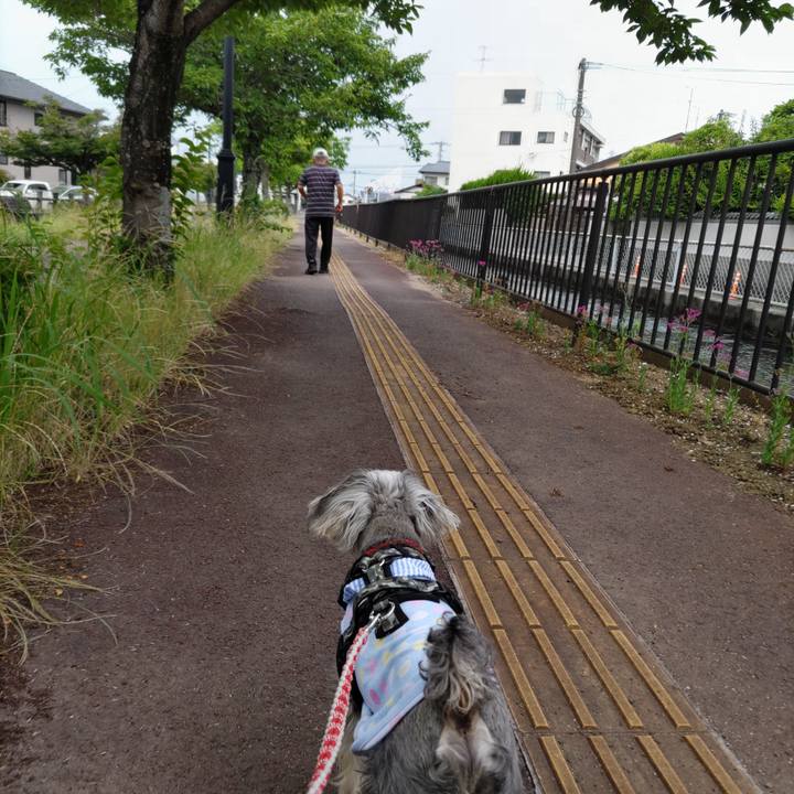 9e08b9d4 deaf 4d85 9bb5 30b8a2a40847 1718636206747