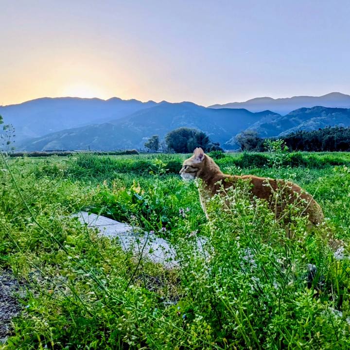 9e08c003 2871 4446 9881 27a24b533a2c 1775657577966