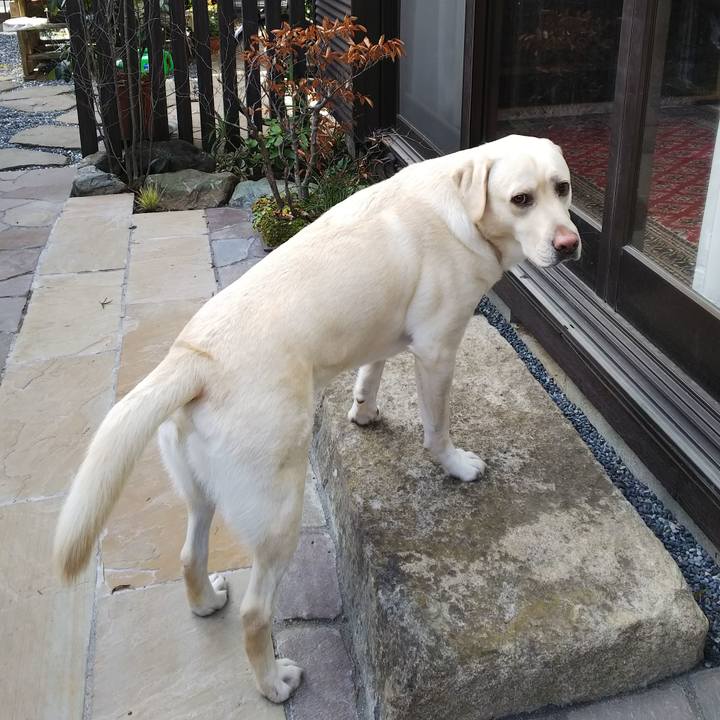 9e08d1c7 ea95 4d8b 921f a1db06030768 1545634850169