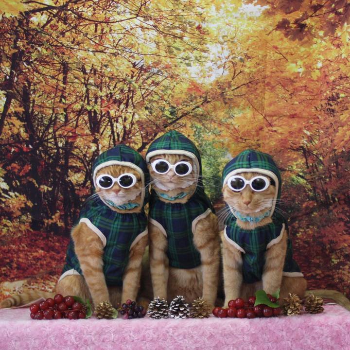 9e08ee22 5322 4cad b713 d387c1c71aa5 1763889998698