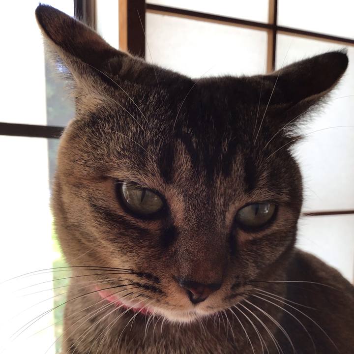 9e0940e7 1e66 4ac6 8f04 60c84157a987 1605747873396