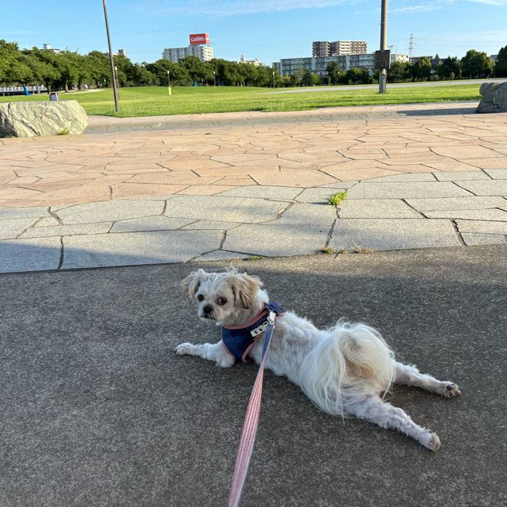 9e095759 bc50 4e2f 97c2 2b07b935fdba 1753307345174