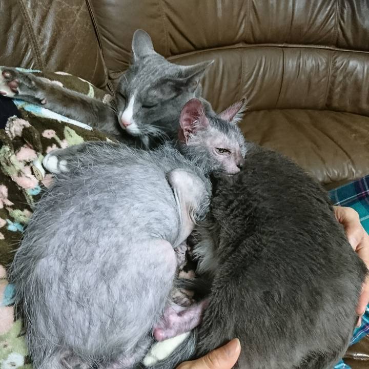 9e095a4f 0beb 4c17 a2f3 eefdc89ebe22 1514727258999