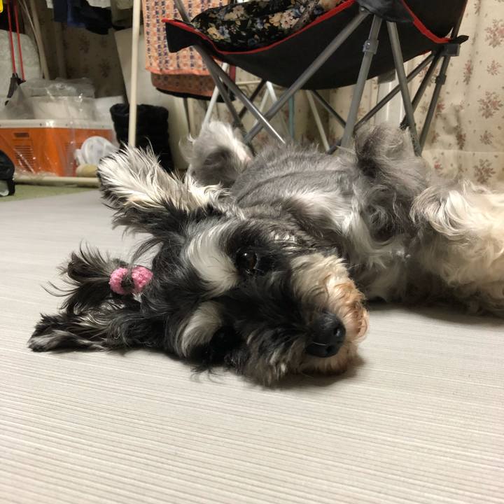 9e097864 c94d 461b 8459 21112d4891f8 1568696612873