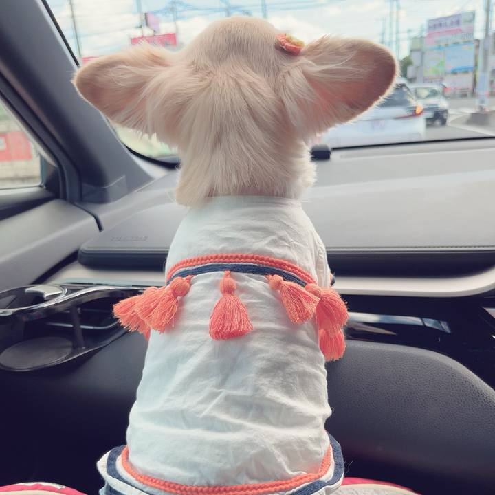 9e099bff e772 4646 b8f2 c2b43683c6f9 1695043439456