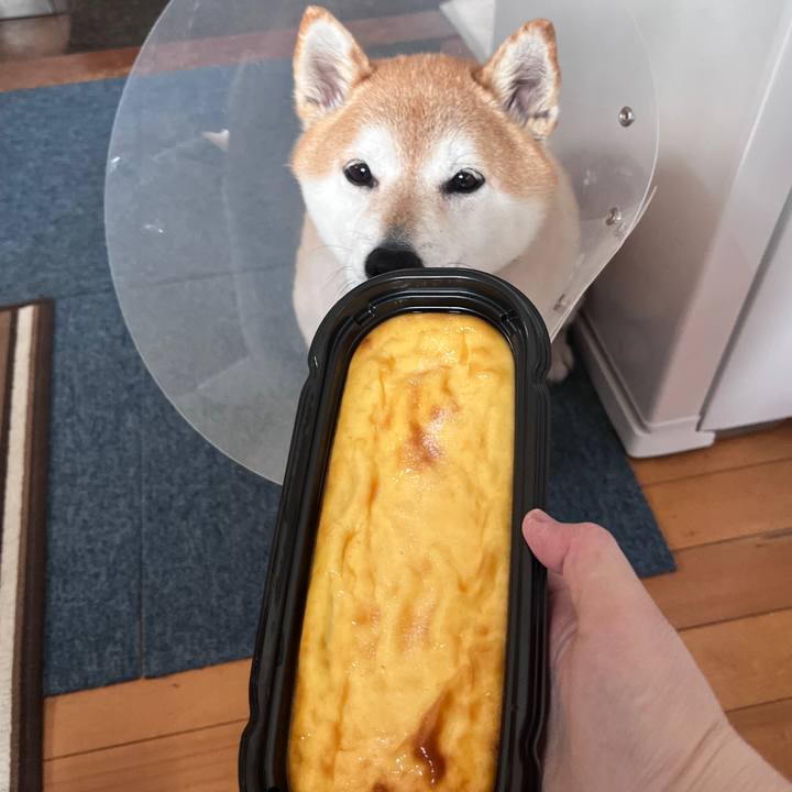 9e09ae0a 153a 4ece 96f6 d1e43164a1ab 1716543095059