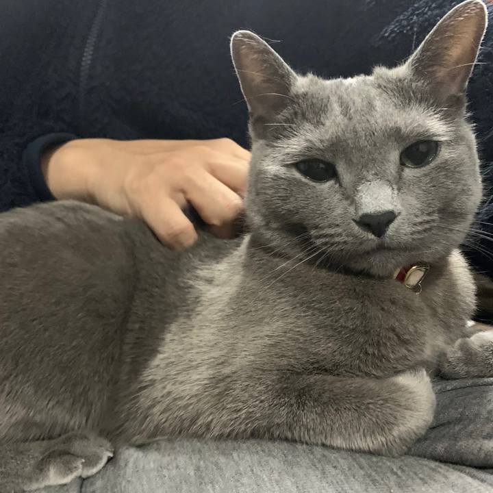 9e09d3da 0067 4882 abf4 ce37dff79283 1647925162117