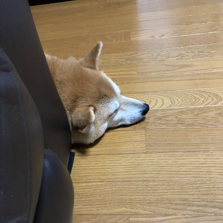 9e09dec4 4f83 4ab8 a956 5ea88a23f5b6 1560582949508