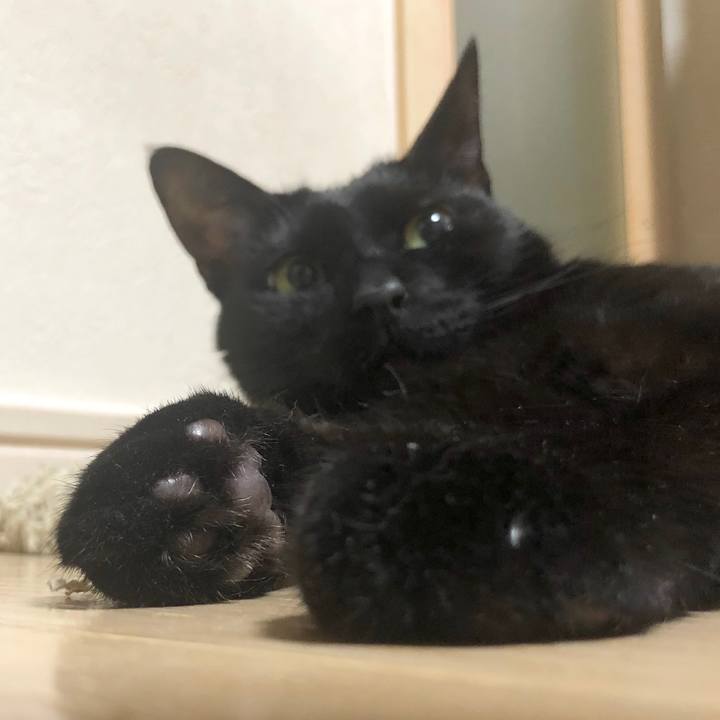 9e09e239 af9b 4861 b1a3 cde64d2863d7 1590748470460