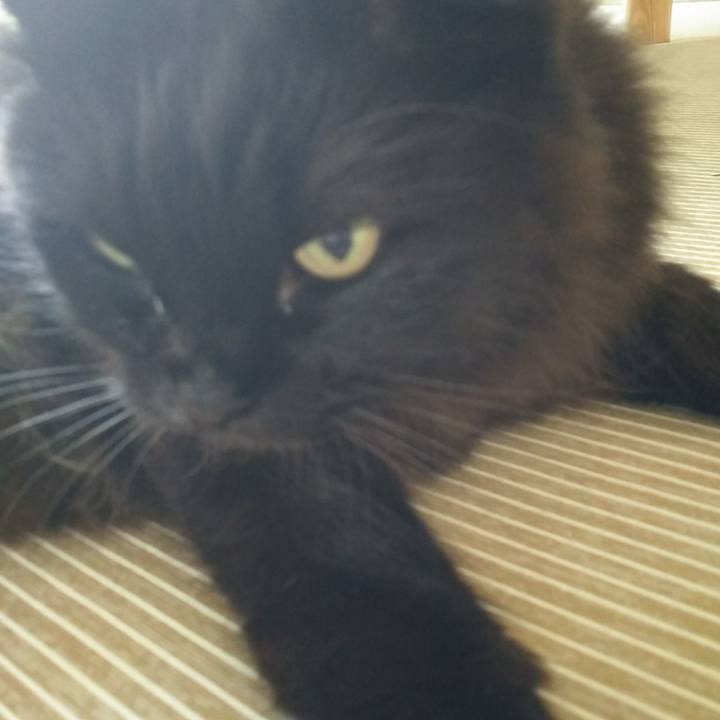 9e0a693a 39b1 490a 8d05 ebbe8eaa3089 1528418145425