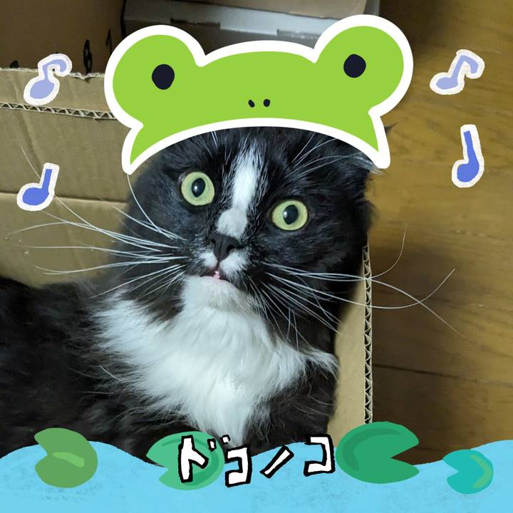 9e0a73dc d378 4451 9512 91cef8c8340b 1717629258232