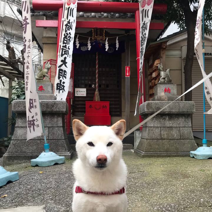 9e0aa3ea 35c3 4c8c 9045 abbe997a7af1 1577842479987