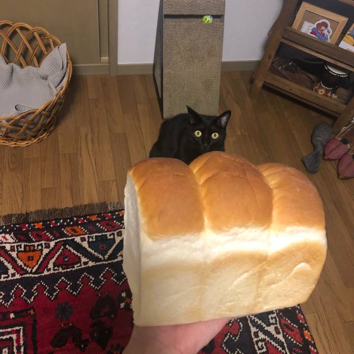 9e0aafc3 afde 40f8 b8f9 7d1b4b769b88 1629979111925