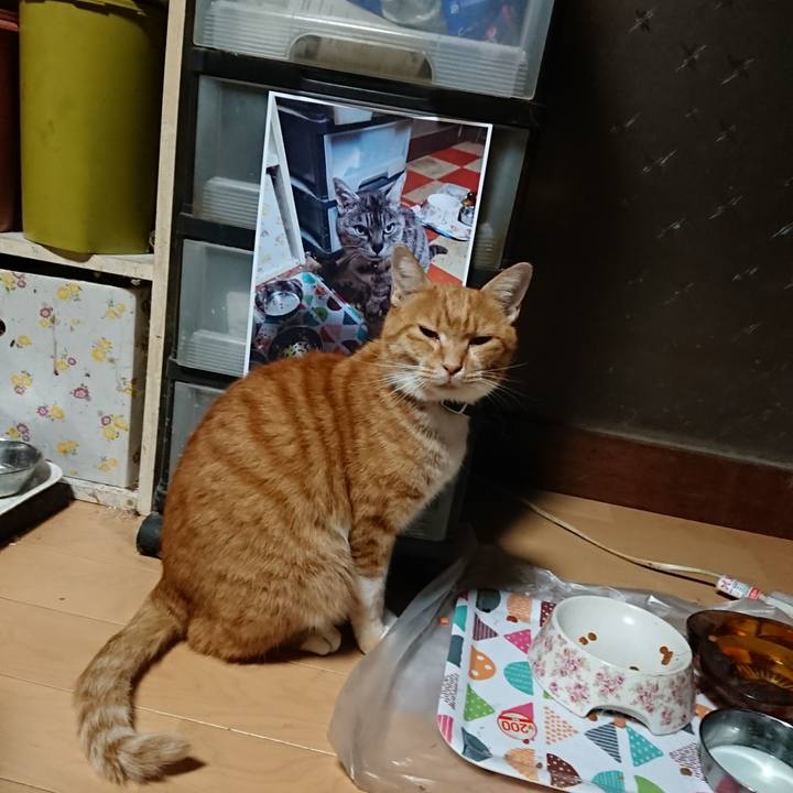 9e0ad0b4 5657 4a11 8ded 35375c8e9608 1601235942188