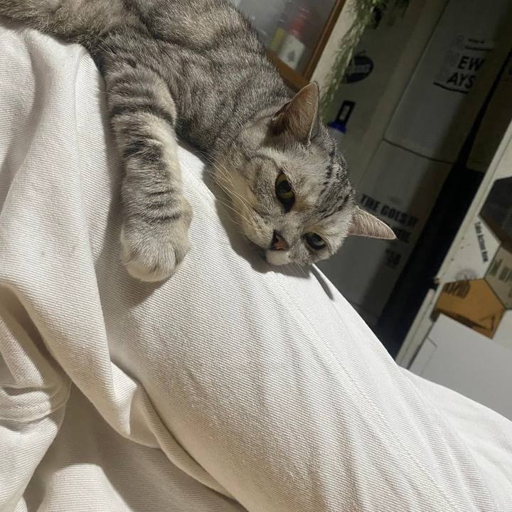 9e0b3221 4927 492e baa2 d5dea37a1f79 1723301359950