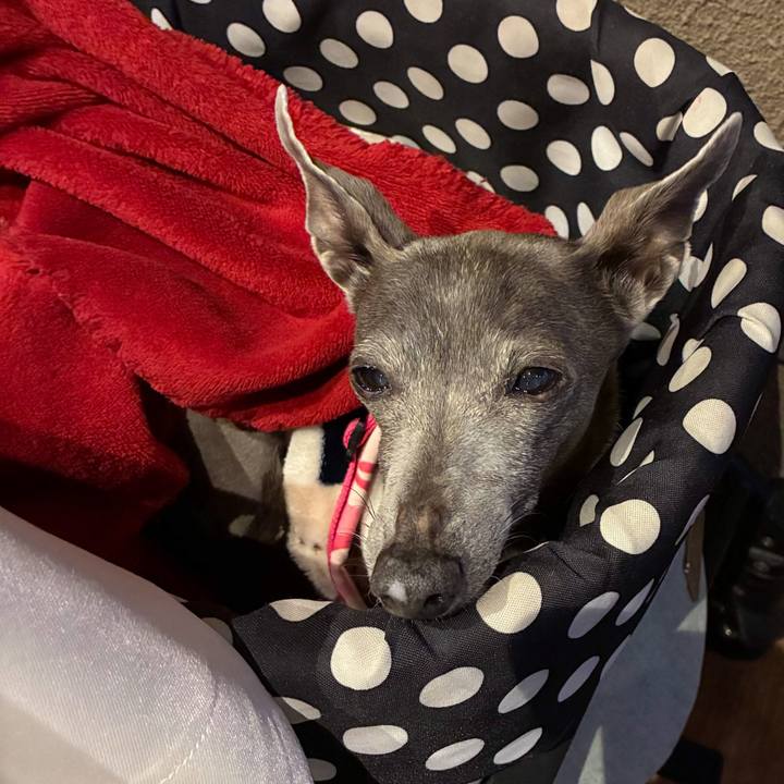 9e0bed8d cc2c 43c3 8e78 5ef1f5d9243e 1776762374047